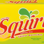 Squirt SUITCASE (24 x 12oz) - Pallet