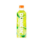DUNKIN Zero Iced Tea Shine & Lime (24 x 500ml) - Case