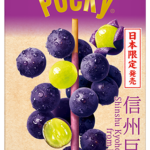 Pocky Shinshu Kyoho Grape from Nagano (10 x 2 x 18packs)