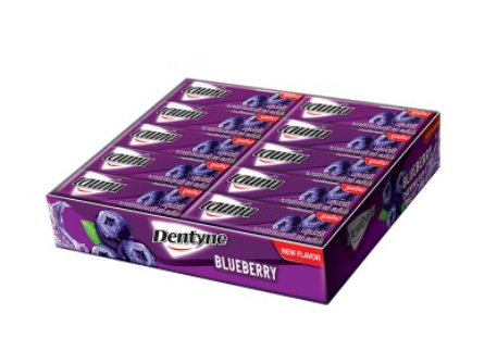 BSD-4207 DENTYNE - Stick Gum Blueberry (30 x 20 x 5sticks) - Case - Image 1