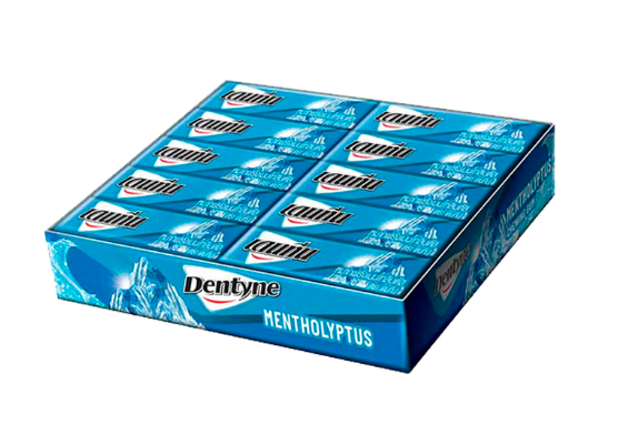 BSD-4208 DENTYNE - Stick Gum Mentholyptus (30 x 20 x 5sticks) - Case - Image 1